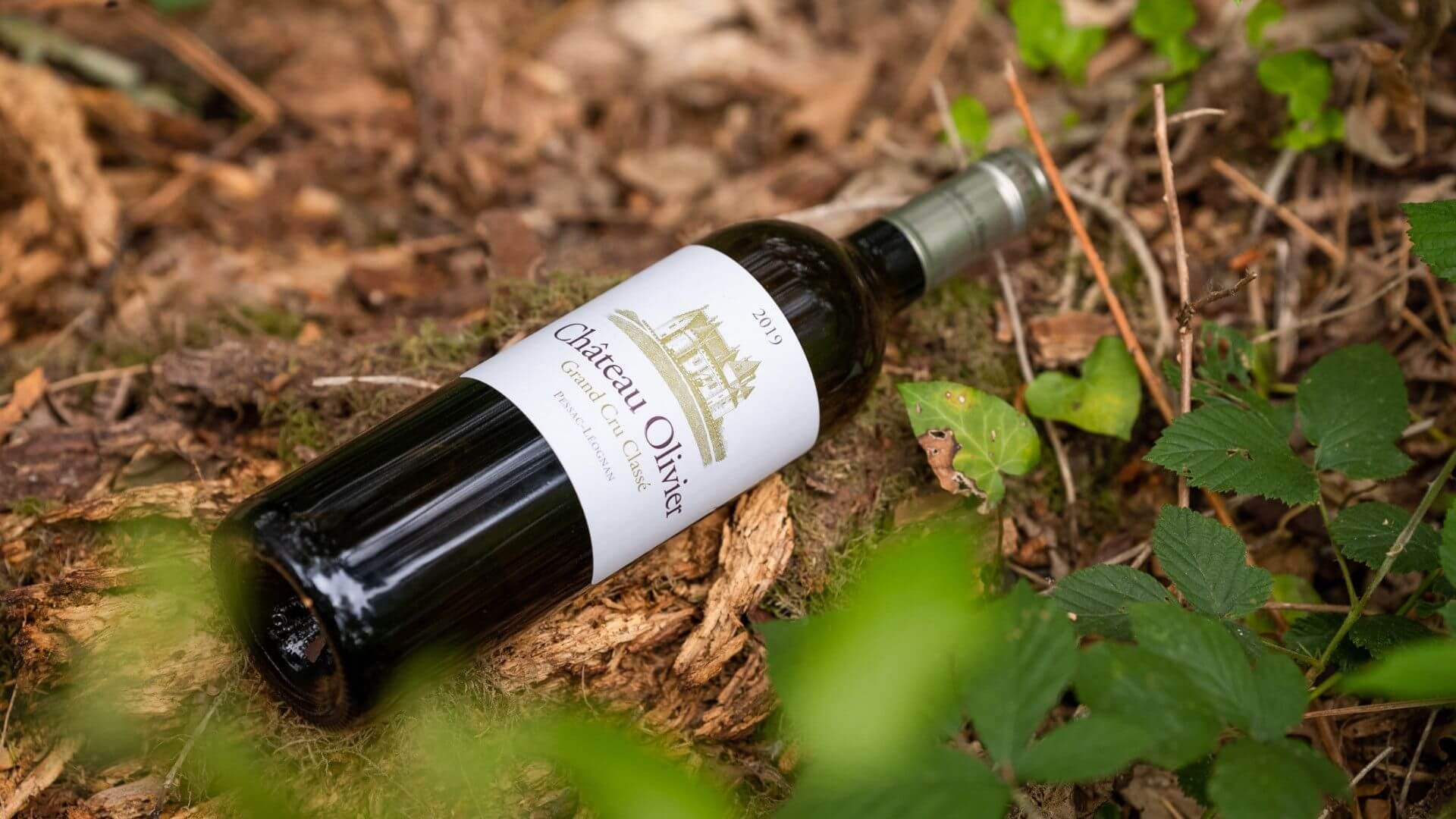 Savoir-faire - Chateau Olivier