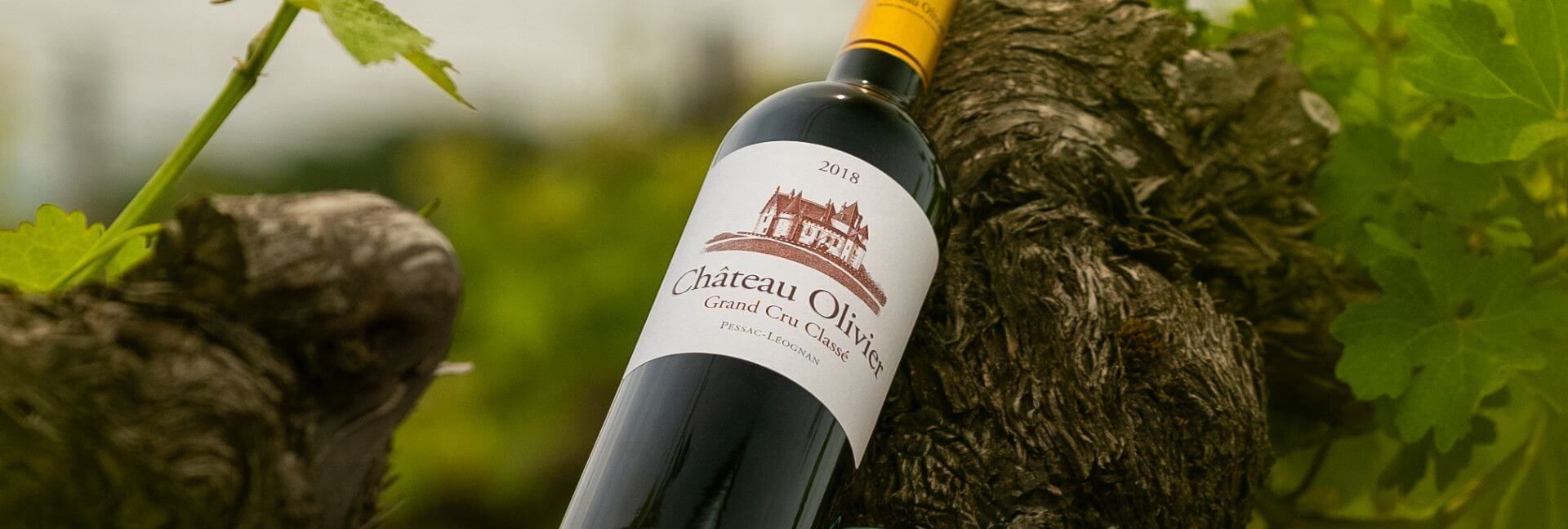 Château Olivier Rouge - Chateau Olivier
