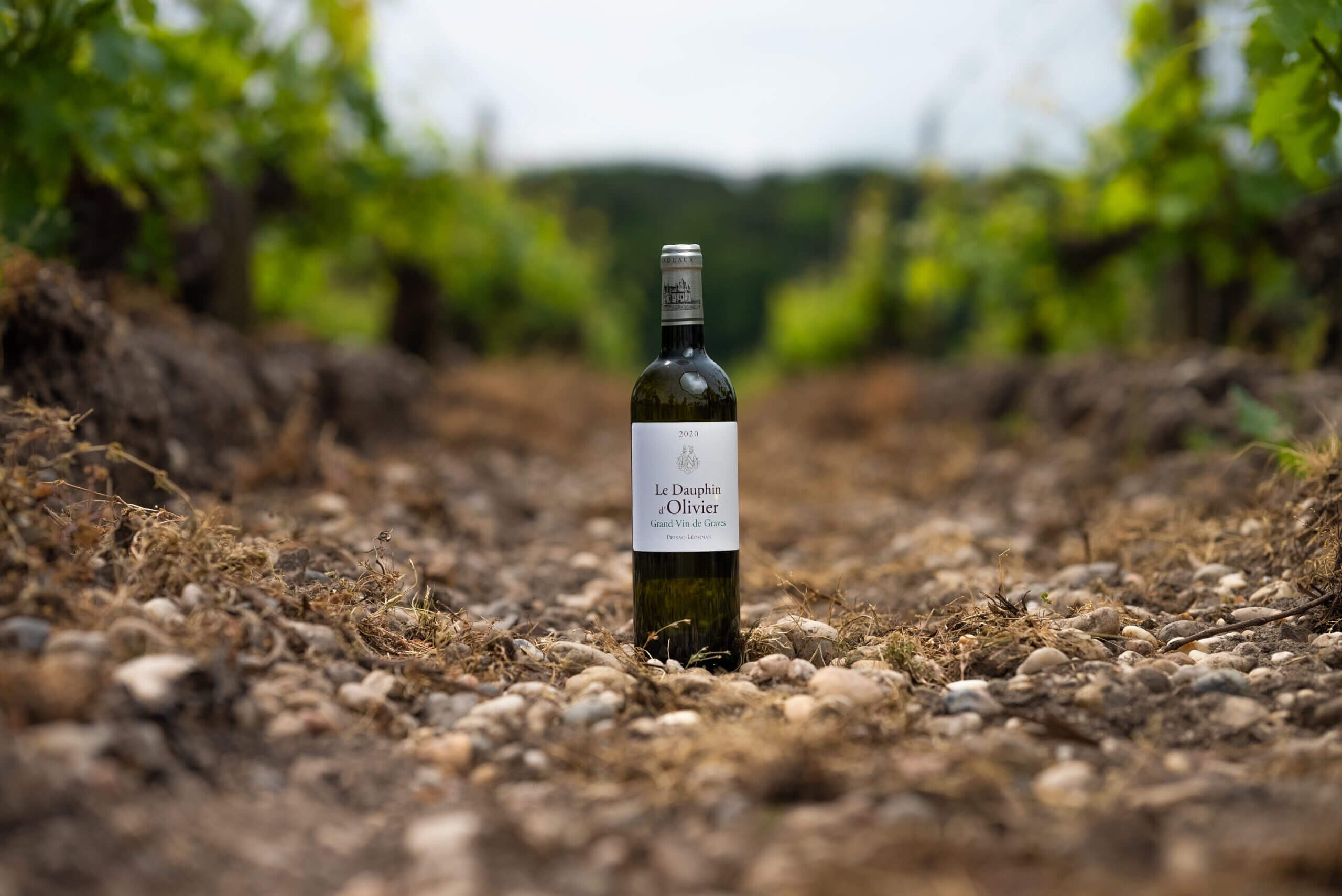 Dauphin d’Olivier Blanc - Chateau Olivier