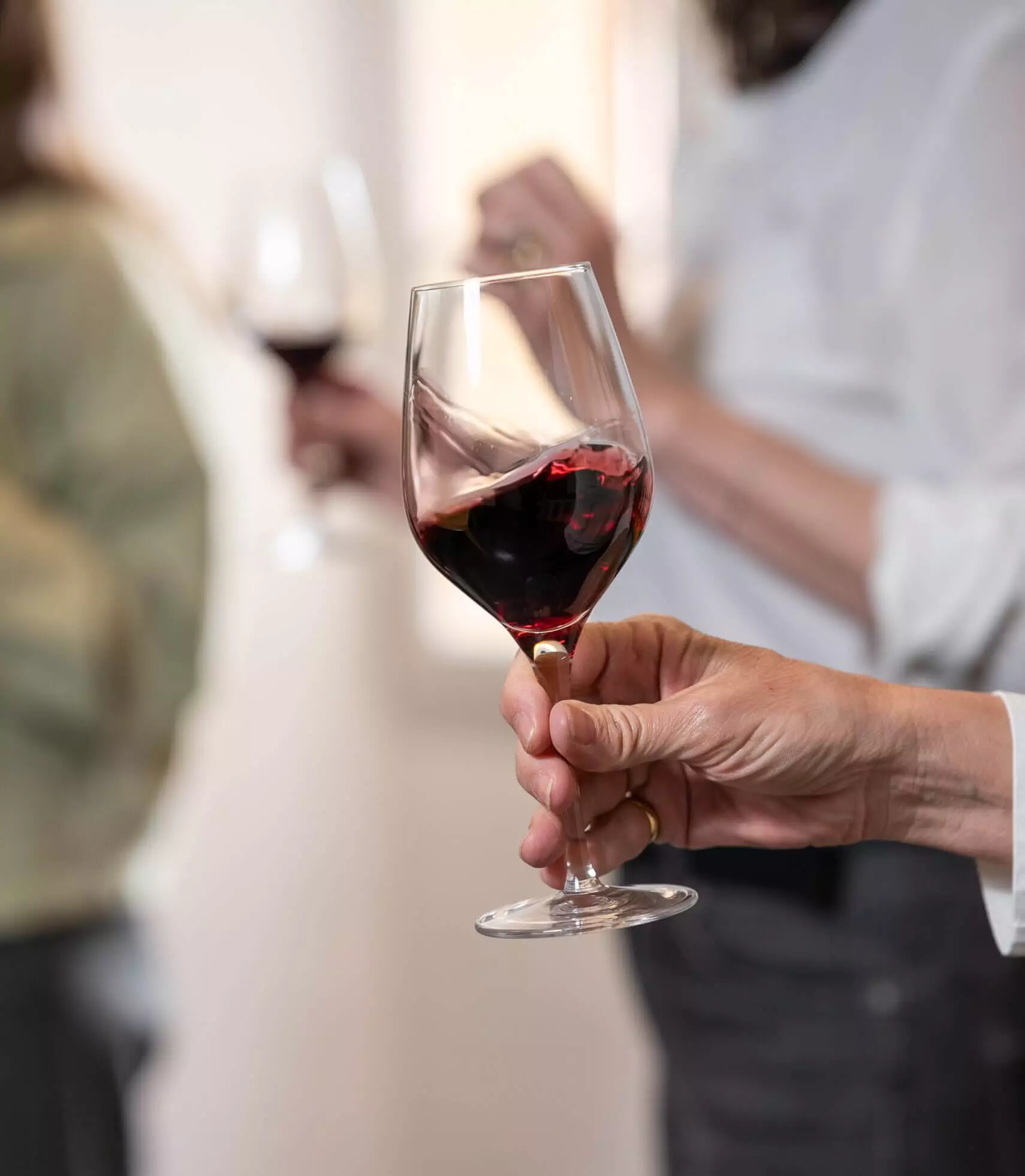 Dégustation seule (2 vins) - Chateau Olivier